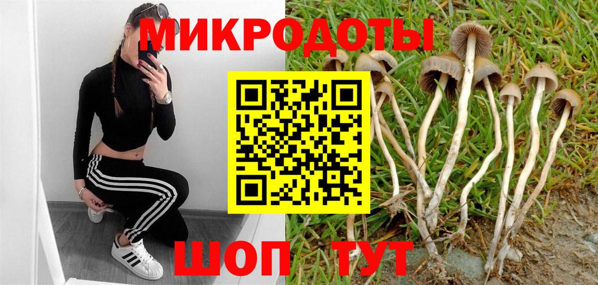 Псилоцибиновые грибы Cubensis  Вход с VPN  Астрахань 